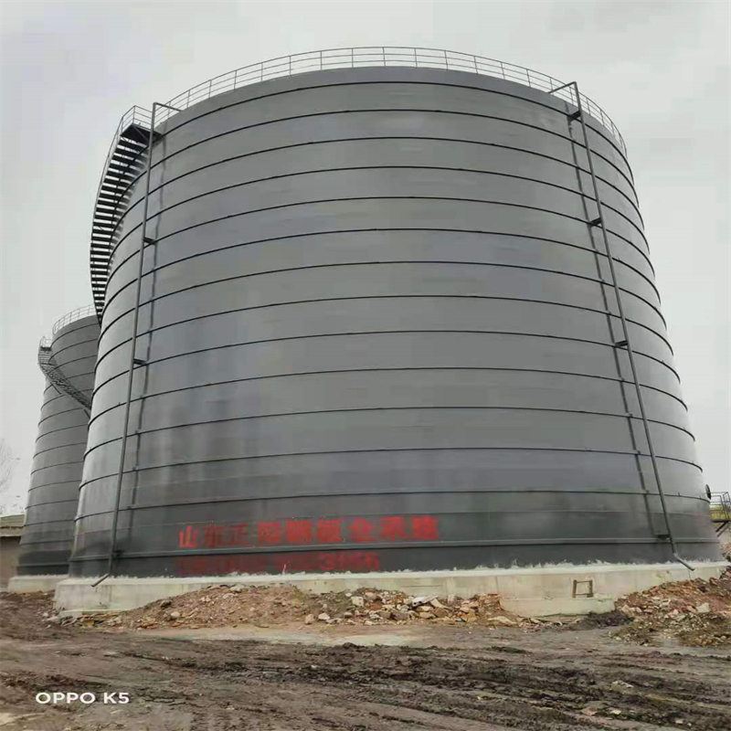 金安3万吨大型钢板库