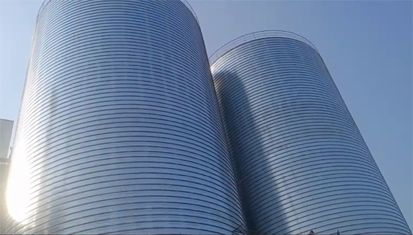 金安2座混凝土高架卷板仓